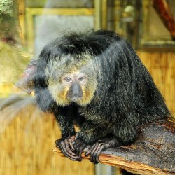 20150403-142000-475-N