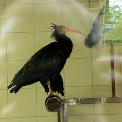 20150403-142053-481-N