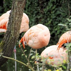 20150403-142210-484-N