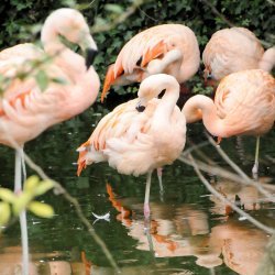 20150403-142214-488-N