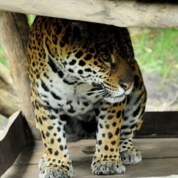 20150403-142246-493-N