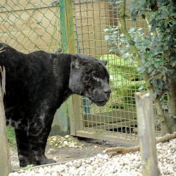 20150403-142356-509-N