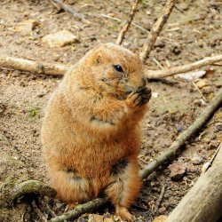 20150403-142817-516-N