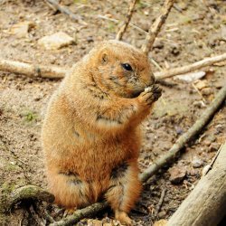 20150403-142818-517-N