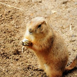 20150403-142838-522-N