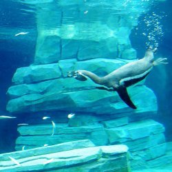 20150403-143007-524-N