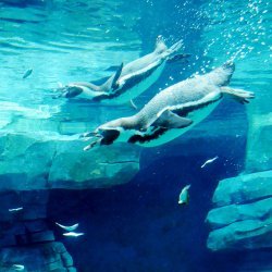 20150403-143009-525-N