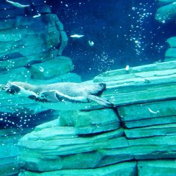 20150403-143013-527-N