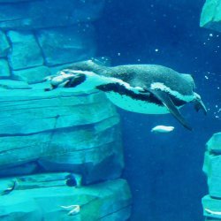 20150403-143131-532-N