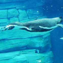 20150403-143132-533-N