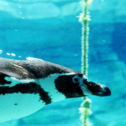 20150403-143137-536-N