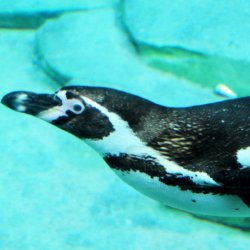 20150403-143318-537-N