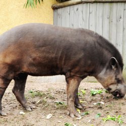 20150403-144005-538-N