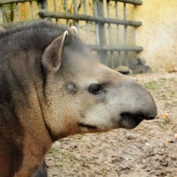 20150403-144049-539-N