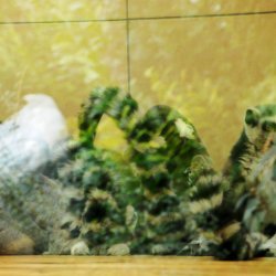 20150403-144336-543-N