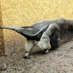 20150403-144359-545-N