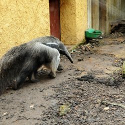 20150403-144402-546-N