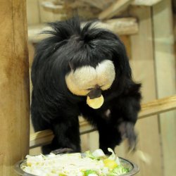 20150403-144631-554-N