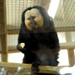 20150403-144655-558-N