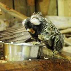 20150403-144849-560-N