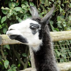 20150403-145145-563-N