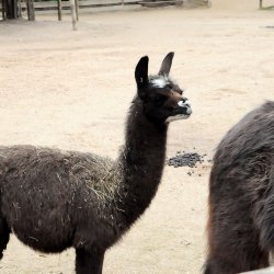 20150403-145249-564-N