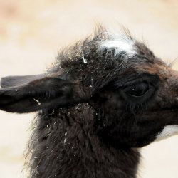 20150403-145303-566-N