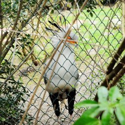 20150403-145348-569-N