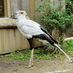 20150403-145446-572-N