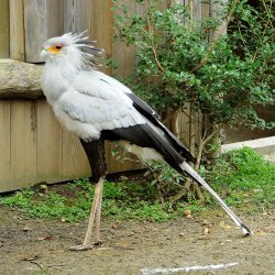 20150403-145449-574-N