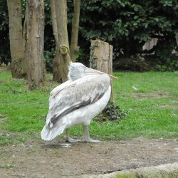 20150403-145605-577-N