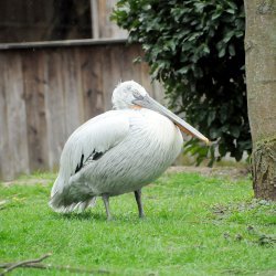 20150403-145610-578-N