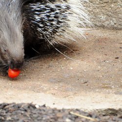 20150403-145800-583-N