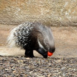 20150403-145803-585-N