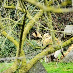 20150403-145948-595-N