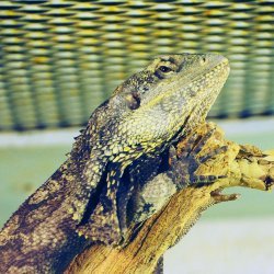 20150403-150403-611-N