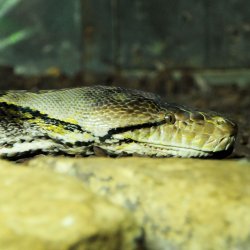 20150403-150631-625-N