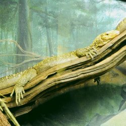 20150403-150755-631-N