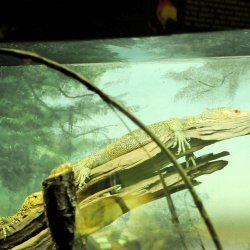 20150403-150807-632-N