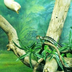 20150403-150914-636-N