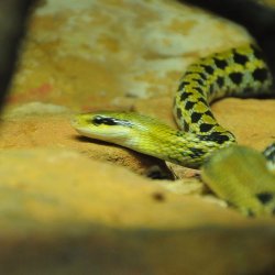 20150403-150944-639-N