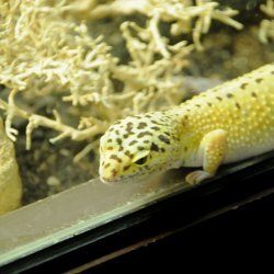 20150403-151131-649-N