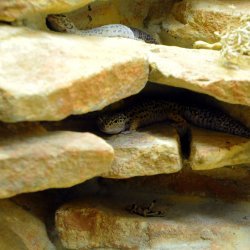 20150403-151226-651-N