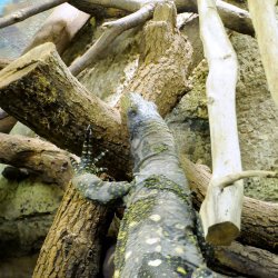 20150403-151434-656-N