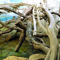 20150403-151438-657-N