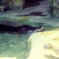 20150403-151548-660-N