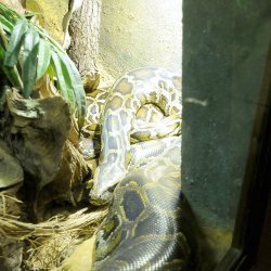 20150403-151649-664-N