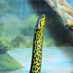 20150403-151704-666-N