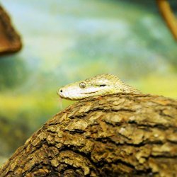 20150403-151757-667-N