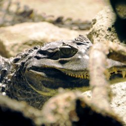 20150403-151855-670-N